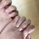 네일글로시에 이미지