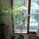 주진1길 이미지