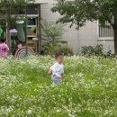 마리나꿈어린이집 | 미국 갈 준비와 남편한국 🫶 /현대해운미국이사, 현대해운후기