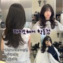 비전하이 | [서울] 강남 하이레이어드컷 잘하는 곳ㅣ얼굴형 맞춤 레이어드컷 마이오헤어 학동점 소윤 디렉터 후기
