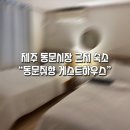 [제주 동문시장 근처 숙소] 인생 첫 게스트하우스 "동문취향_트윈룸 1박 솔직후기