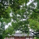 영일민속박물관 | 영일민속박물관 방문후기. 포항냉수리신라비, 포항중성리신라비 /흥해 가볼만한곳/