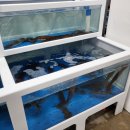 진장물류지구 | [울산] 북구 대형 회센터 / 진장회센터