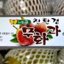호정농장 네이버블로그