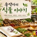금차왕 | 엉겅퀴 이야기 1편