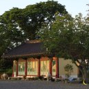 천하대장군 이미지