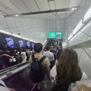 봉선마라탕 | 대림역 중앙시장 맛집 현지인도 찾는 중식집 봉선 마라탕 후기