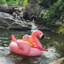 금자네펜션 이미지