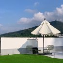 박영재 동물병원 이미지