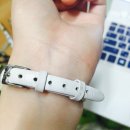 오에스팜 Daum카페