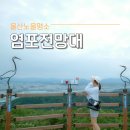 장생포119안전센터 화장실 | 경남 울산 노을 야경 숨은명소, 염포전망대 스카이워크