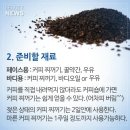 꿀커피숍 이미지