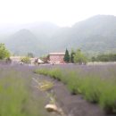 (주)티피팜 네이버블로그