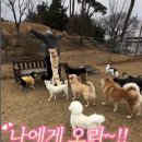 우당탕 랜드 이미지