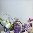 새터로L 이미지