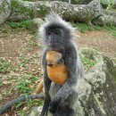 반딧불 프리미엄 이미지