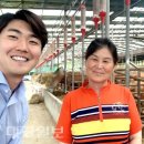 김수자농장 이미지