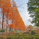 도리정원 이미지