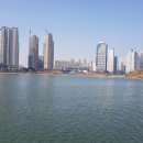 수원-0305 이미지