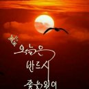 장안졸음쉼터 Daum카페