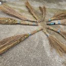 전원생활 댑싸리 빗자루를 만드며... 이미지