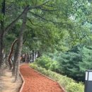 문발로(1) 이미지