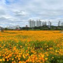 기흥호수공원 이미지