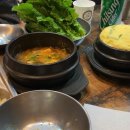 제주부리는돼지