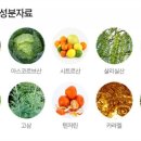 헤어가나 이미지