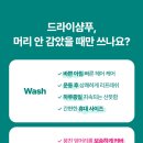 바디스트 이미지