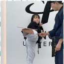 미르태권도 이미지