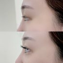 대전 관저 디펠리체 | [대전 관저동] 골든부티끄 관저점 | 대전 관저/도안 속눈썹연장 잘하는 곳 바로 이곳 !!