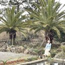 리버풀앤스파 이미지