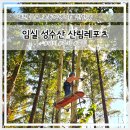 성수산자연휴양림 | 대전근교 임실 성수산왕의숲 신상 레포츠 숲속어드벤처