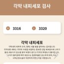 본우리집밥 혜성프로비젼 2공장점 | 스마일라식 서울 강남 안과 2곳 검안 후기(ㅅㅇㅅ, ㅇㅅㅇㅇ)