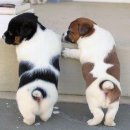 나래동물약국 이미지