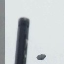 다이소 우산의 위엄 이미지