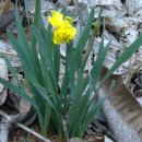 승준농장 이미지