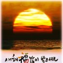 수원21세기