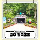 충주 아이랑 가볼만한곳 활옥동굴 후기 카누 체험까지 대만족
