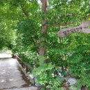 산장민박 이미지