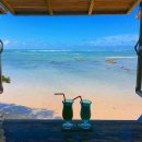 하마카페 이미지