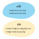 3월 4박5일 도쿄여행 일정편 :: 10만원대 항공편, 가성비 호텔, 디즈니, 맛집 등
