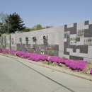 대동2태양광발전소 이미지