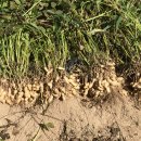 거현농장 이미지