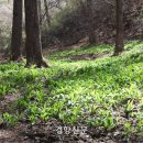 산방환담 이미지