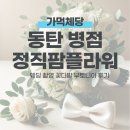 동탄 웨딩 꽃다발 부토니아 전문 꽃집 정직팜플라워