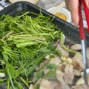 형산강오리 | 경주 현지인 맛집 형산가든: 미나리 삼겹살 3단 순삭하고 온 솔직 후기! 형산강 미나리