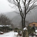 마음애고향 이미지