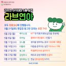 멍편한세상 이미지